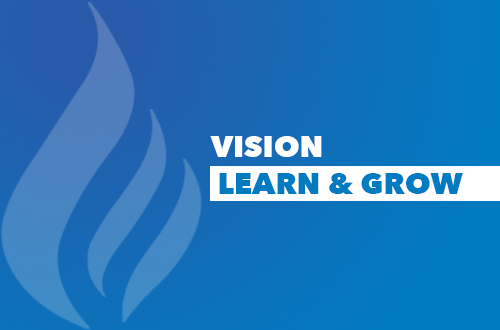 Vision: Learn & Grow
